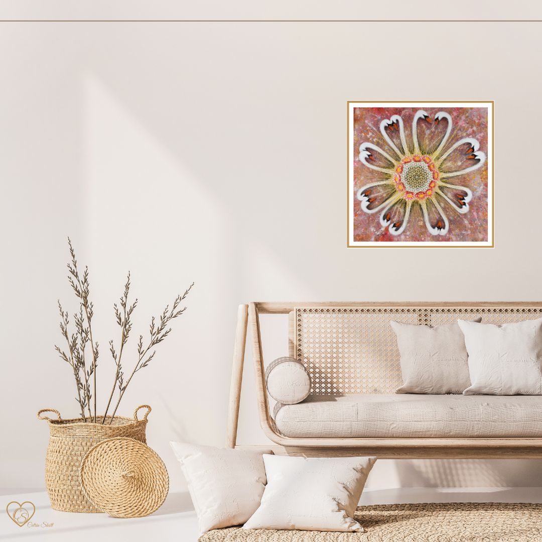 Swan of unity - Fine Art print NEW