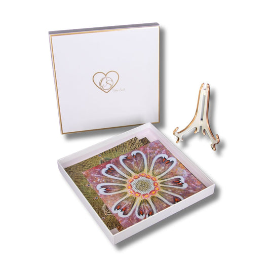 Meditation card