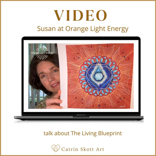 Video, Susan at Orange Light Energy