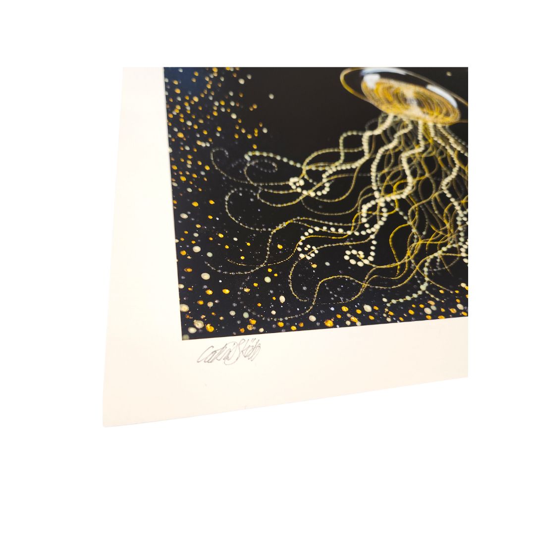 Fine Art print
